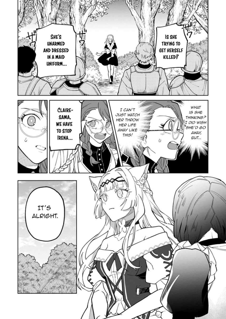 The White Mage Who Was Banished From the Hero's Party Is Picked up by an S Rank Adventurer ~ This White Mage Is Too Out of the Ordinary! Chapter 43.1 14